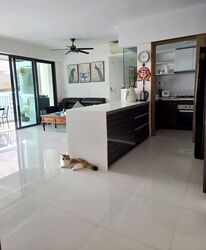 The Terrace (D19), Condominium #592531471